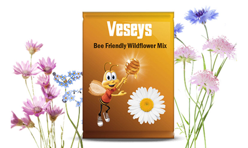 Get FREE Wildflower Seeds to Help the Bees!