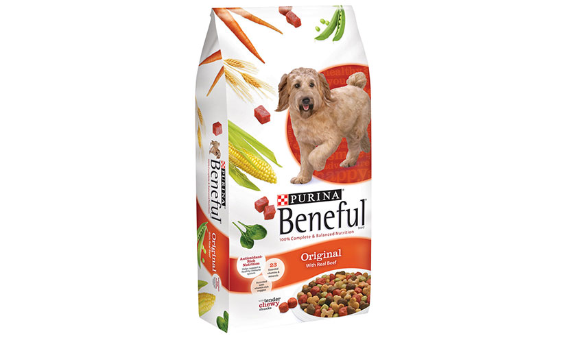 Save $3.00 off one Beneful Dry Dog Food!