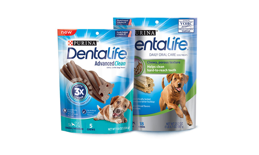 Get a FREE Sample of DentaLife Dog Treats!