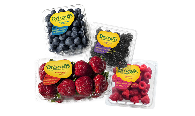 Enter to Win A Year’s Worth of Berries!