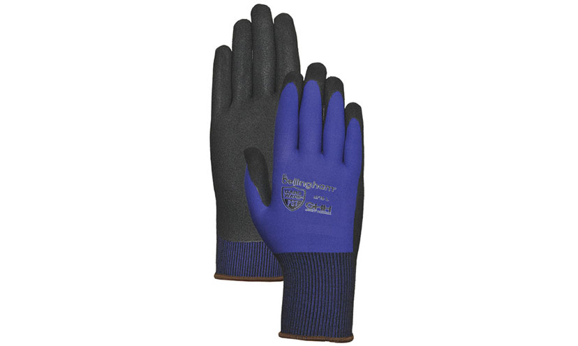 Get a FREE Sample of Gloves!