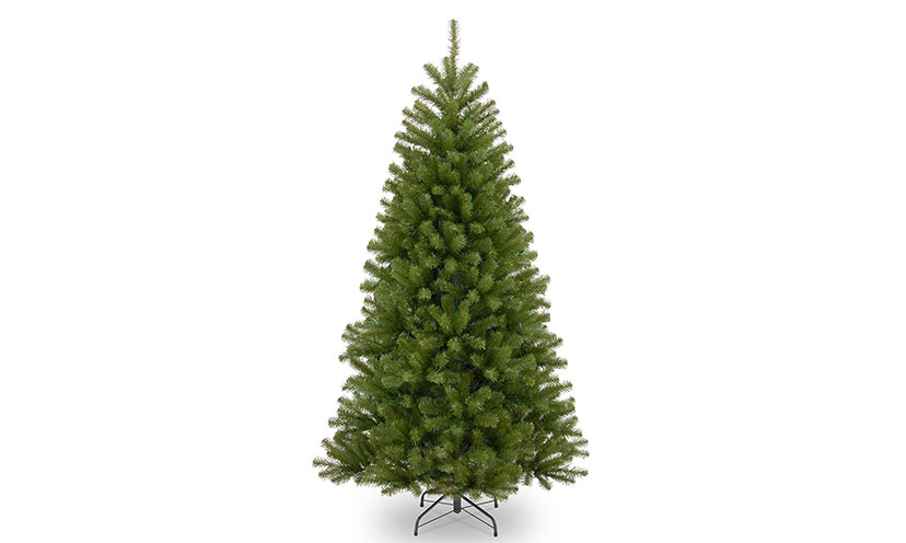 Save 25% on a National Tree Company Faux Spruce Tree!