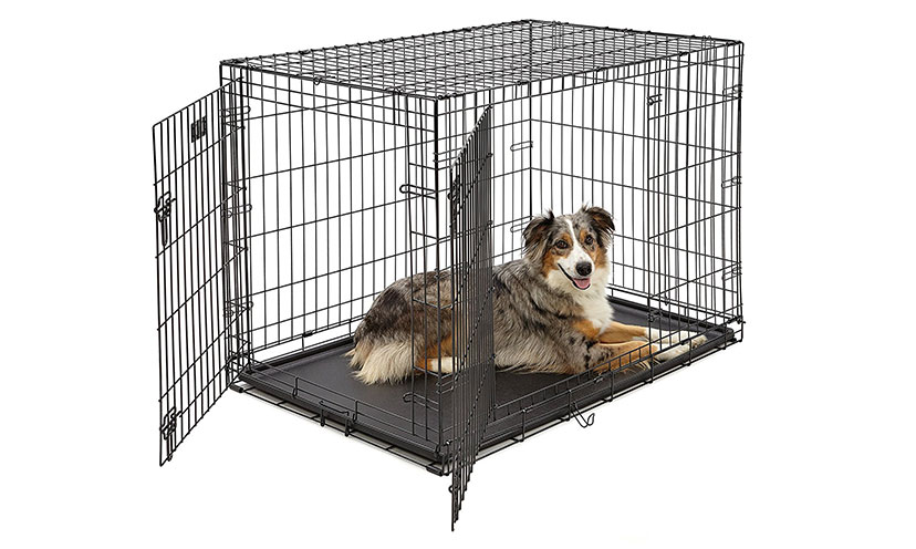 Save 65% on MidWest Folding Metal Dog Crates!