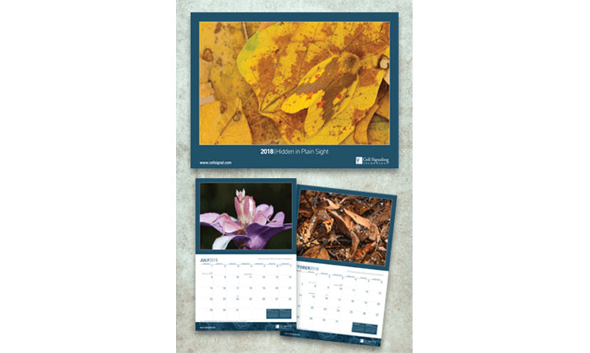 Get a FREE 2018 Nature Calendar!