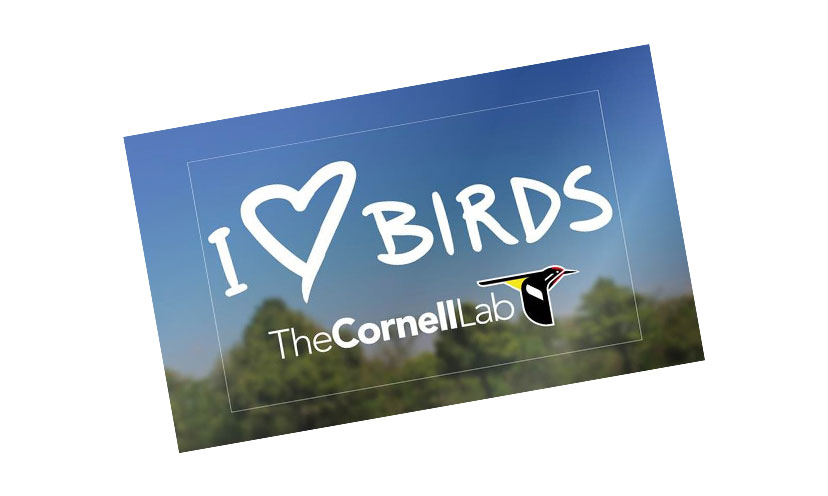 Get a FREE I Love Birds Decal!