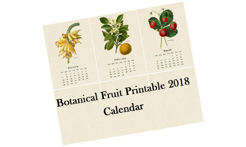 Get a FREE Botanical Fruit Calendar!
