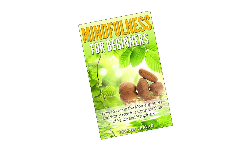 Get A FREE Mindfulness For Beginners eBook!