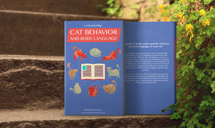 Get A FREE eBook on Understanding Cat Behavior!