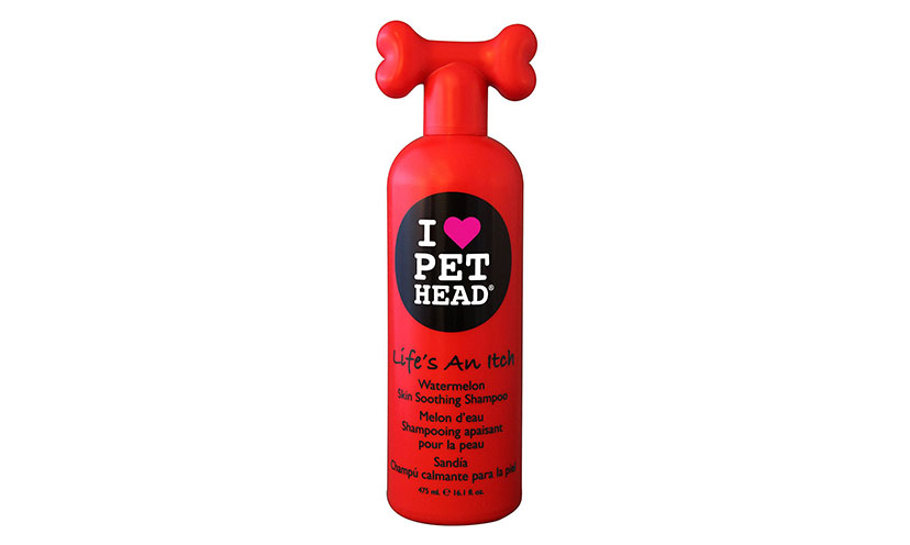 Save 20% on Itch Skin Soothing Shampoo For Dogs!