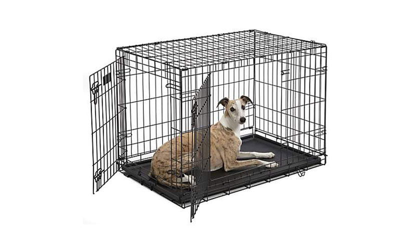Save 87% on a Midwest Folding Dog Crate!