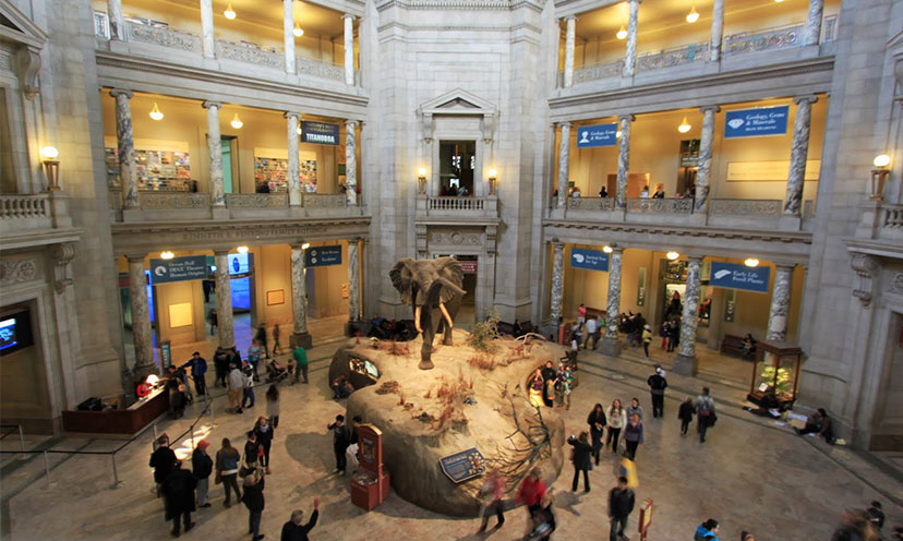 Get FREE Museum Admission This Weekend!