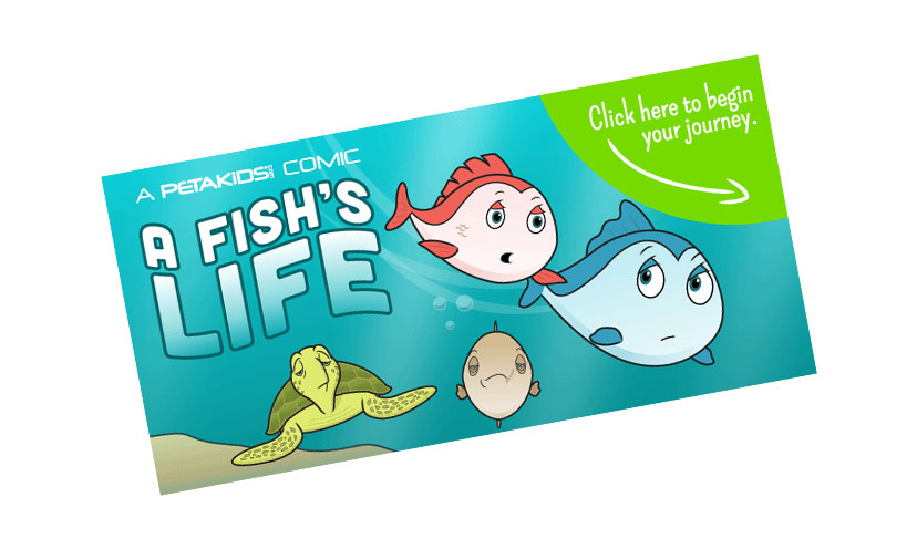 Get a FREE PETA Kids Fish Sticker!