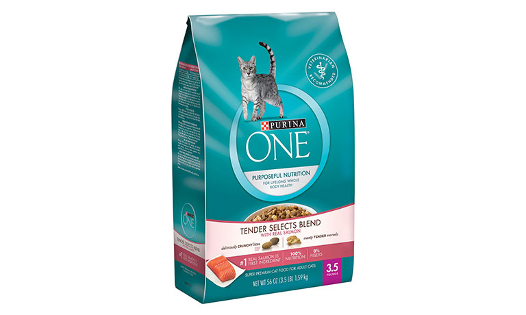 Get a FREE Bag of Purina One Dry Cat Food with Purchase!