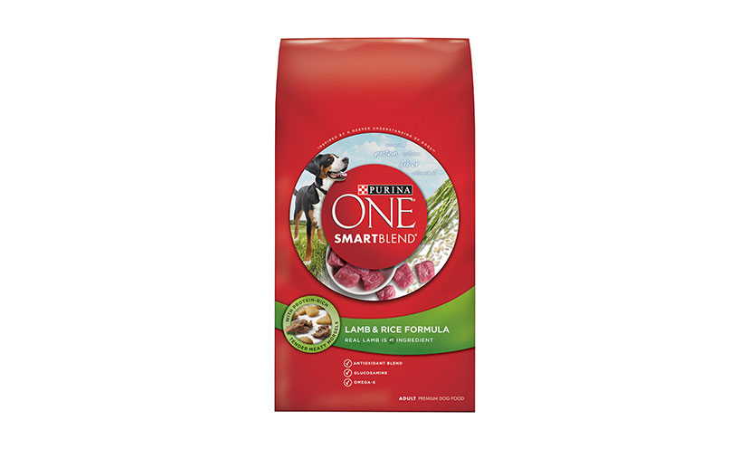 Get a FREE Bag of Purina One Dog Food With Purchase!