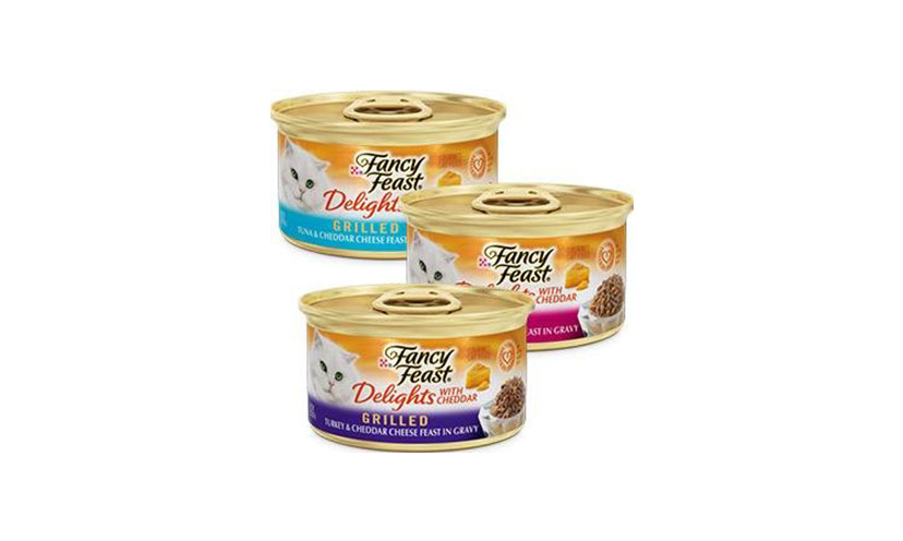 Save $1.00 on 12 Cans of Fancy Feast Wet Cat Food!