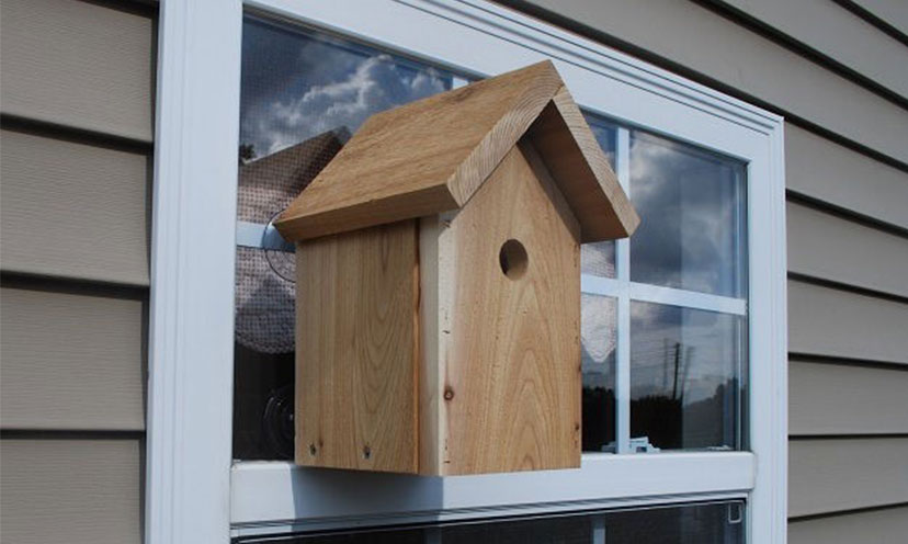 Kids Get a FREE Window Birdhouse!