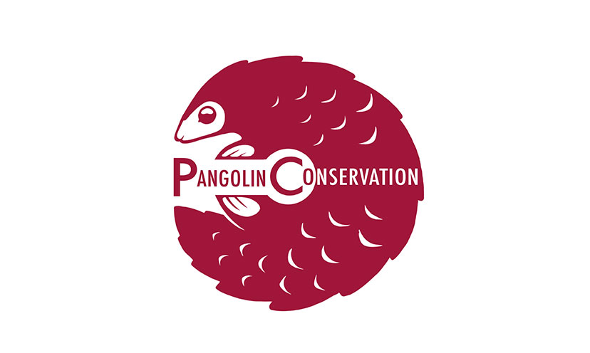 Get a FREE Pangolin Conservation Decal!