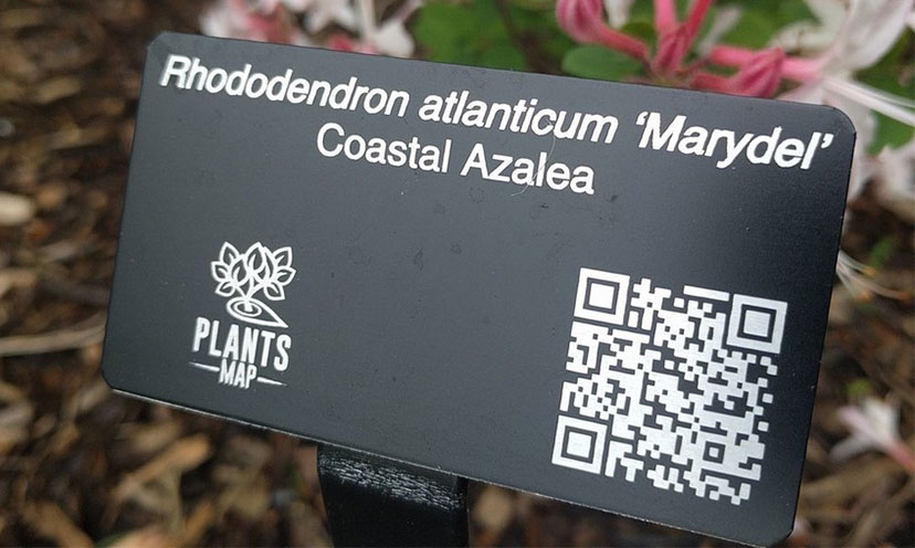 Get a FREE Customized Plant Tag Sample!