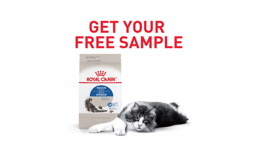 Get a FREE Sample of Royal Canin Cat Food!