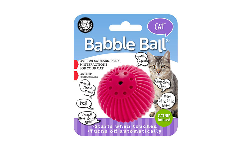 Save 34% on a Pet Qwerks Kitty Babble Ball!