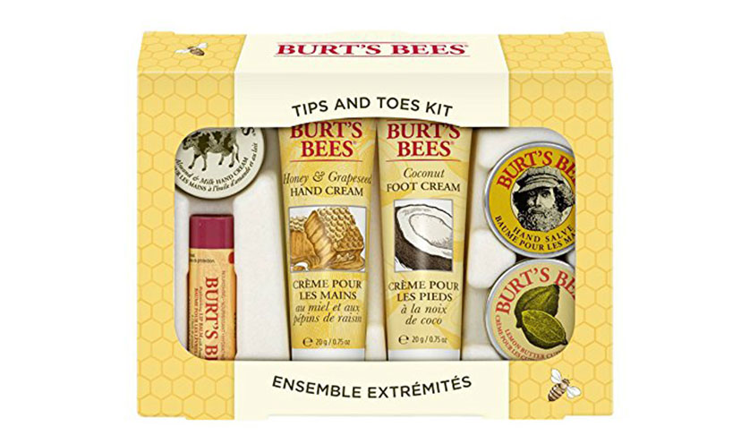 Save 8% on a Burt’s Bees Travel Gift Set!