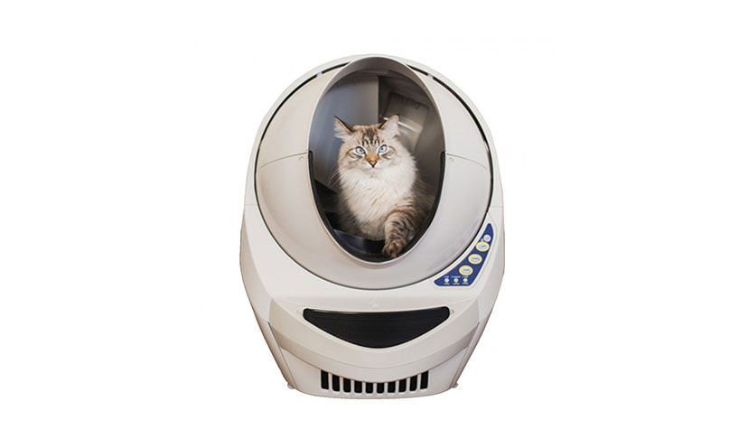 Enter to Win a Litter Robot Cat Litter Box!