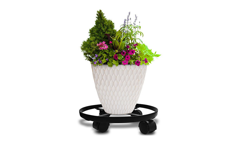Save 48% on a Metal Plant Caddy!