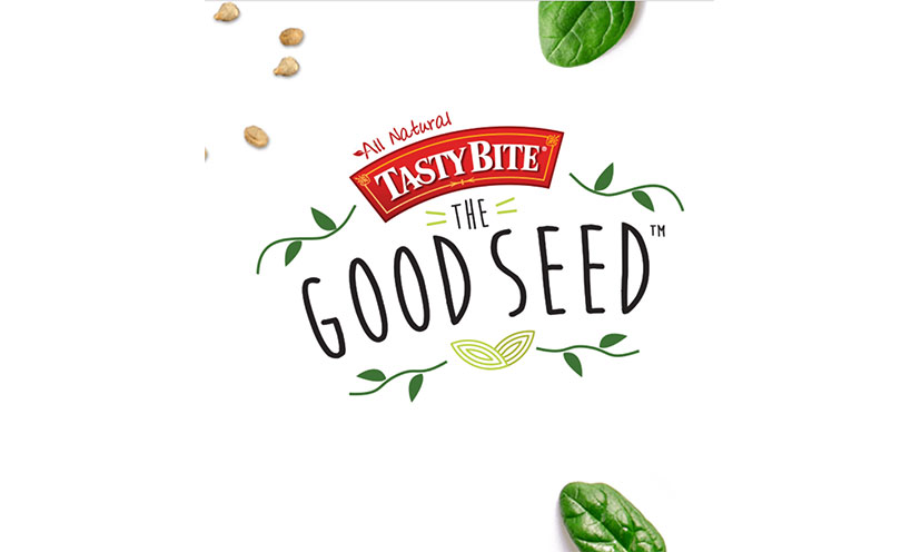 Get a FREE Packet of Spinach Seeds!