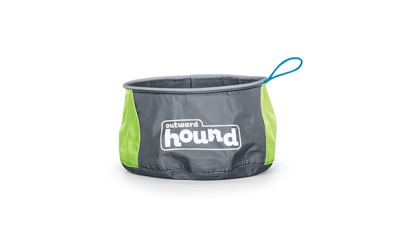 Save 50% on This Portable Dog Food and Water Bowl!