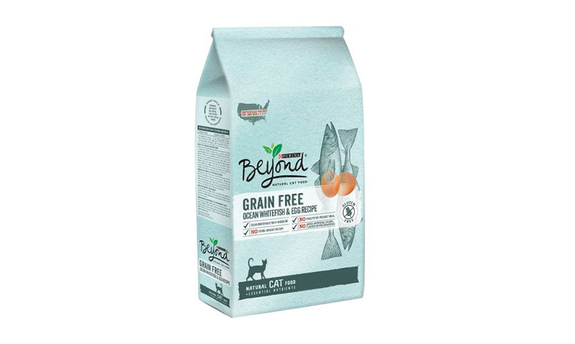 Save $1.50 on a Bag of Purina Beyond Dry Cat Food!