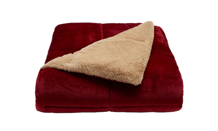 Save 75% on a Cuddl Duds Cozy Soft Comforter!