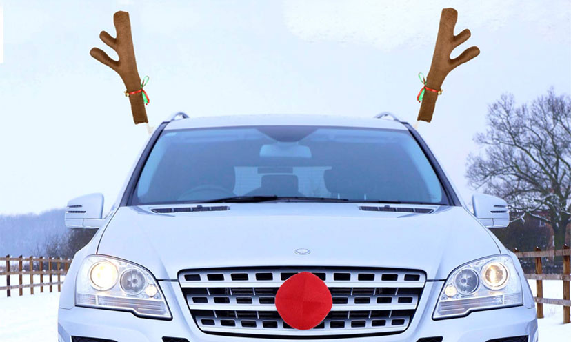 Save 67% on a Reindeer Car Décor! – Get It Free